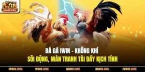 Đá Gà Iwin - Không Khí Sôi Động, Màn Tranh Tài Đầy Kịch Tính