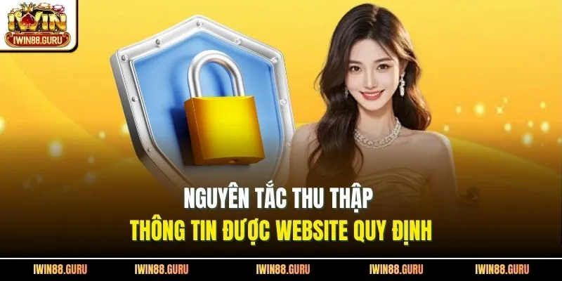 Nguyên tắc thu thập thông tin được website quy định